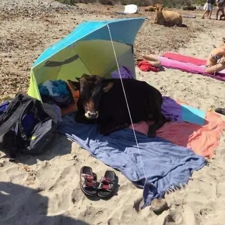 U Sognu - ホームステイ パトリモニオ